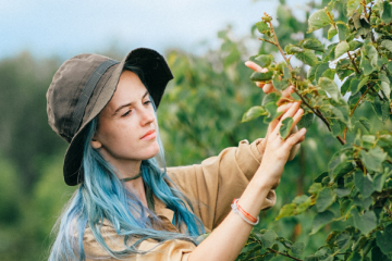 {{brizy_dc_image_alt imageSrc=